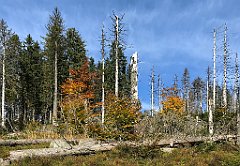 243_iP_181009_IMG_3115