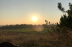 275_iP_181110_IMG_3244