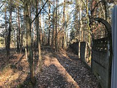 040_iP_181130_IMG_3278