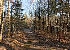 049_iP_181130_IMG_3288