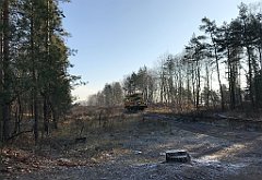 055_iP_181130_IMG_3294