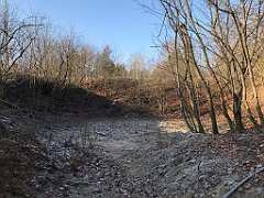 068_iP_181130_IMG_3304