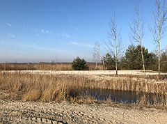 079_iP_181130_IMG_3309