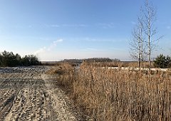 084_iP_181130_IMG_3315