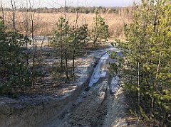 099_iP_181130_IMG_3320