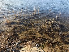 115_iP_181130_IMG_3328