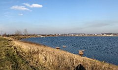 193_iP_181130_IMG_3370