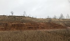 138_iP_181229_IMG_3413