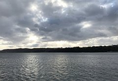 ip_20190114_IMG_3541