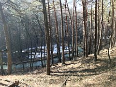 256_ip_190218_IMG_3620