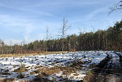 295_ip_190218_IMG_3632