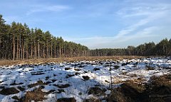 307_ip_190218_IMG_3639