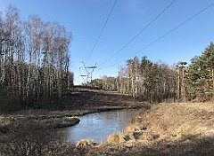 130_iP_190304_IMG_3654