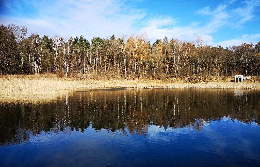 066_20_IMG_20190309_103239.jpg - rrem