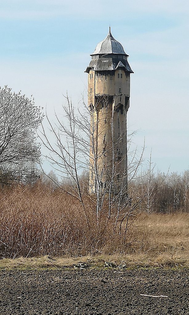 141_p20_IMG_20190317_144545.jpg - oznor