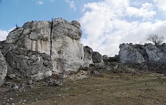 103_p20_IMG_20190320_111402