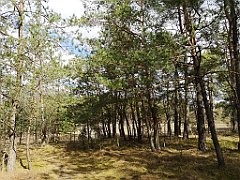 141_p20_IMG_20190320_123321