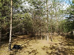 143_p20_IMG_20190320_123333