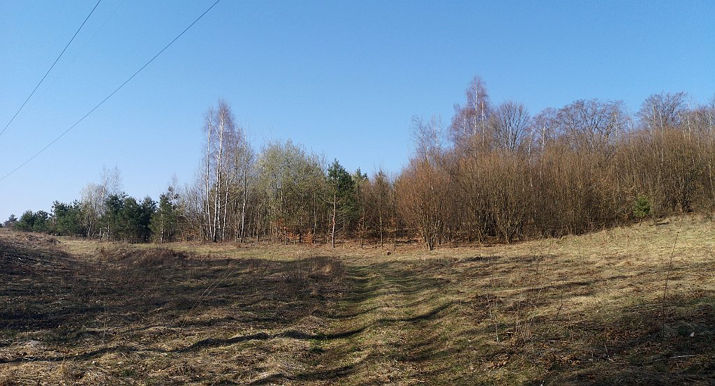 032_p20_IMG_20190402_100125.jpg - rrem