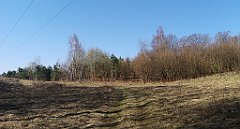 032_p20_IMG_20190402_100125