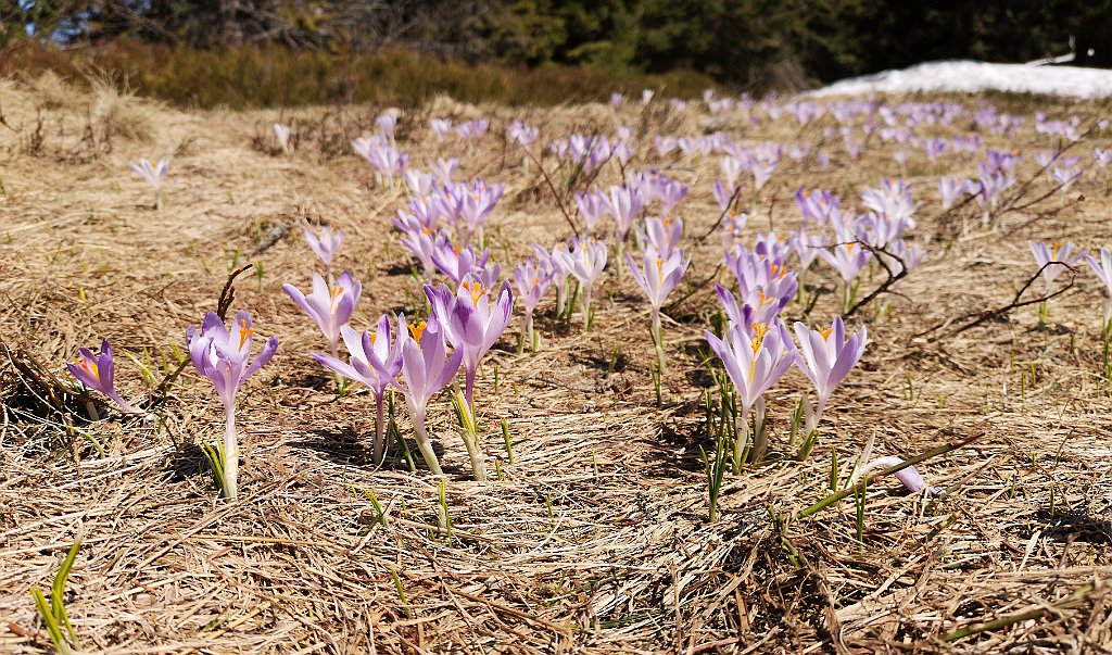 142_p20_IMG_20190420_131539.jpg - rrem