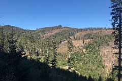 019_iP_190420_IMG_3694