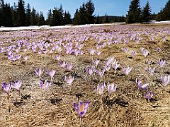 144_p20_IMG_20190420_131705