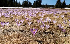 145_p20_IMG_20190420_131709