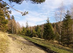 251_p20_IMG_20190420_181219