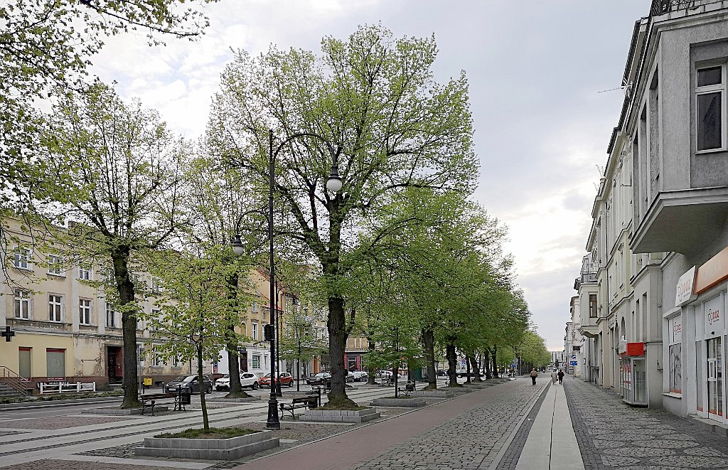 493_p20_IMG_20190430_191709.jpg - ptr