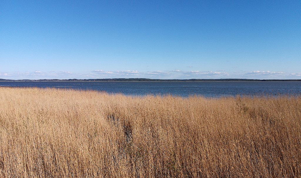 378_p20_IMG_20190505_172509.jpg - rrem