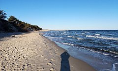 029_p20_IMG_20190505_065259