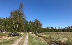 284_iP_20190505_IMG_3912