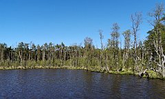 344_p20_IMG_20190505_143352