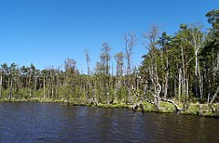 345_p20_IMG_20190505_143359