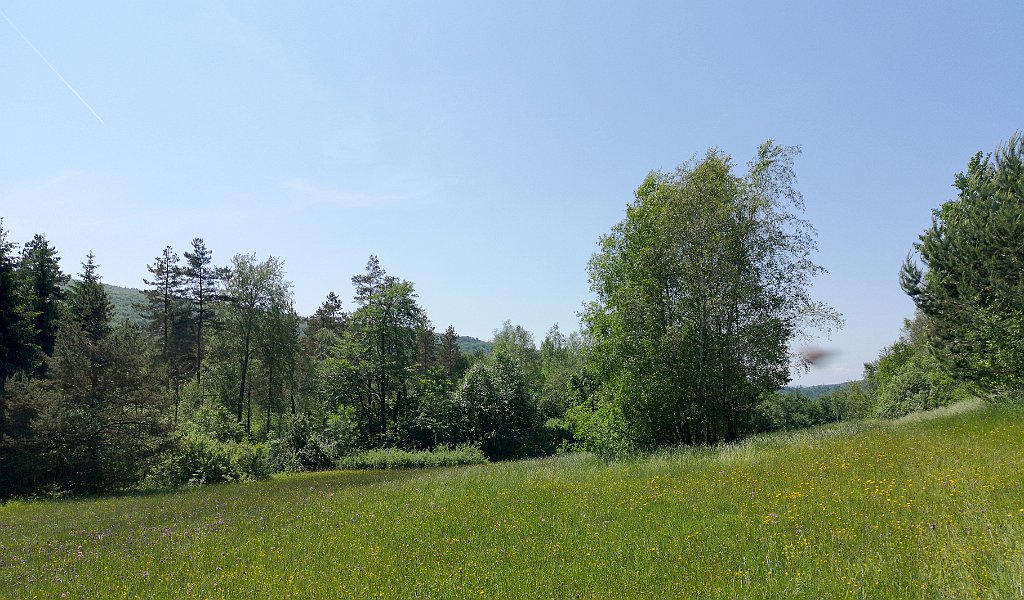 136_p20_IMG_20190610_115438.jpg - rrem