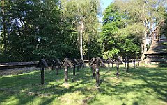 235_iP_190610_IMG_4018