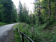 299_p20_IMG_20190610_182304