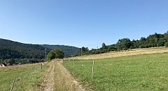 014_iP_190712_IMG_4095
