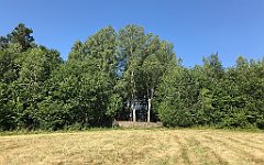 059_iP_190712_IMG_4116