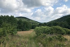 119_iP_190717_IMG_4164