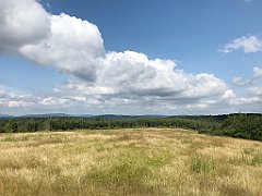 219_iP_190717_IMG_4207
