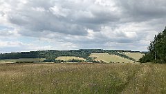 359_iP_190717_IMG_4233