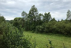 116_iP_190810_IMG_4409