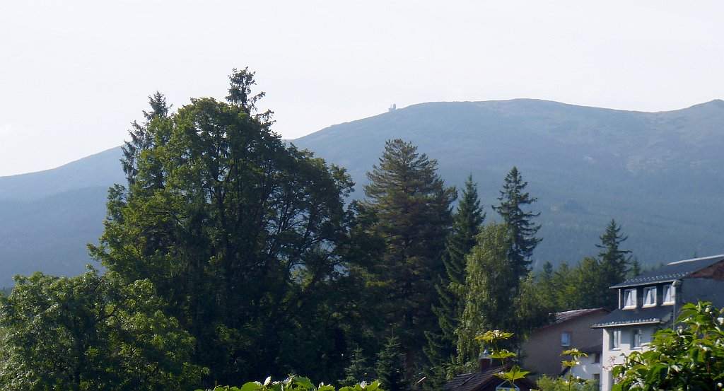 010_3D2_P1030758.JPG