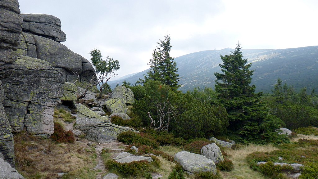 141_3D2_P1030834.JPG