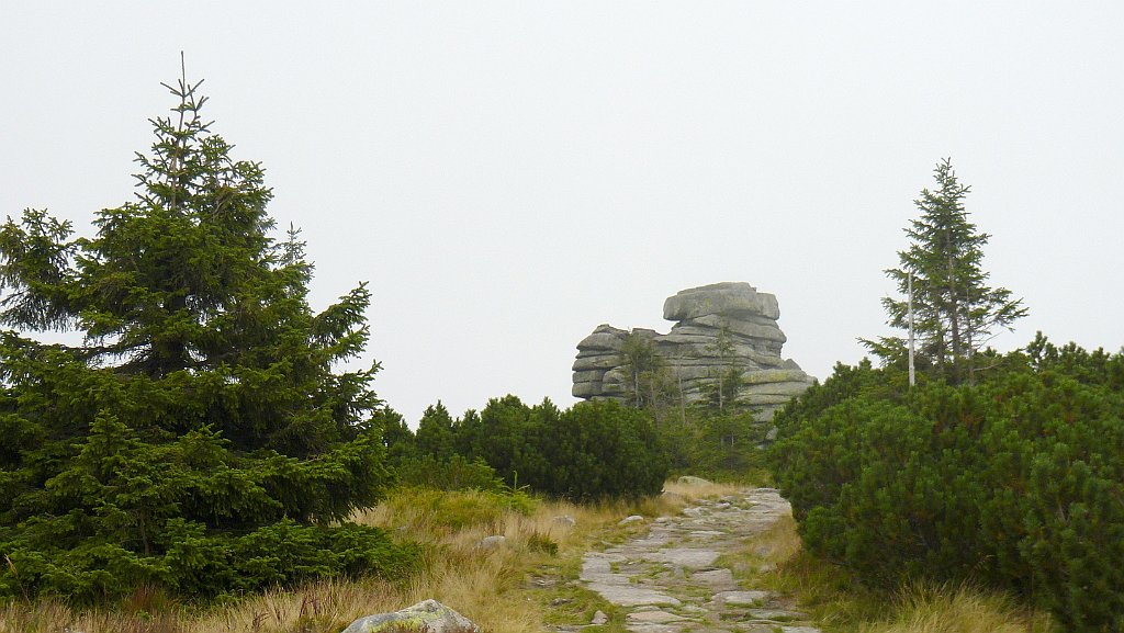 443_3D2_P1030953.JPG