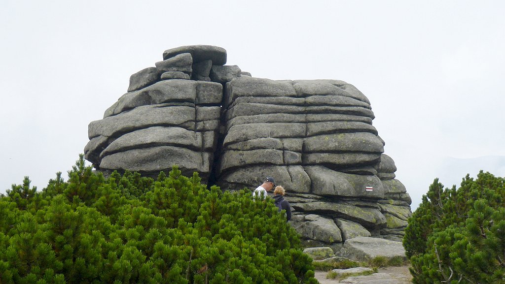 450_3D2_P1030960.JPG