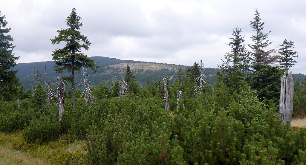 493_3D2_P1030977.JPG