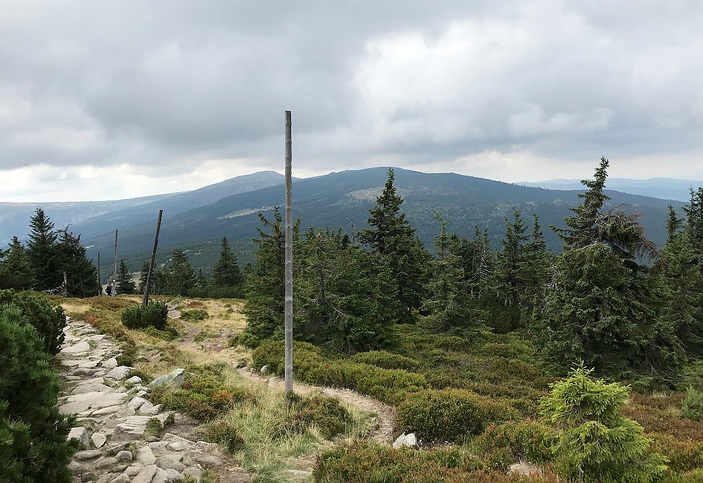 547_iP_190822_IMG_4560.JPG